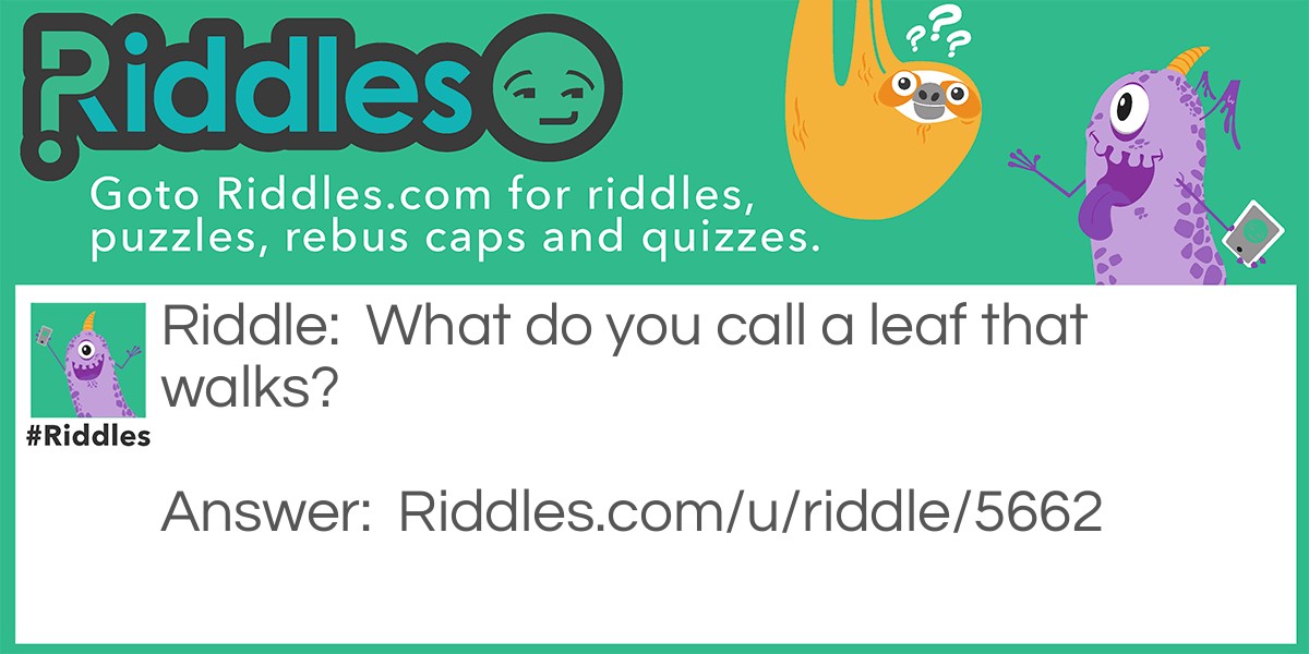 Riddle: What do you call a leaf that walks? Answer: A walking leaf.