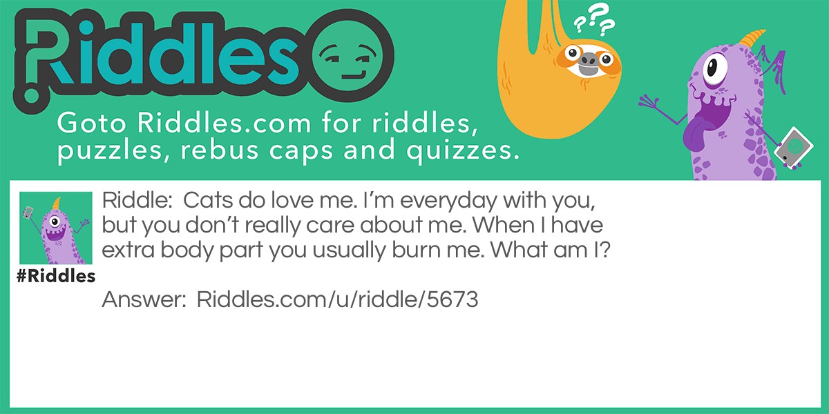 Cats do love me. I'm everyday with you, but you don't really care about me. When I have extra body part you usually burn me. What am I?