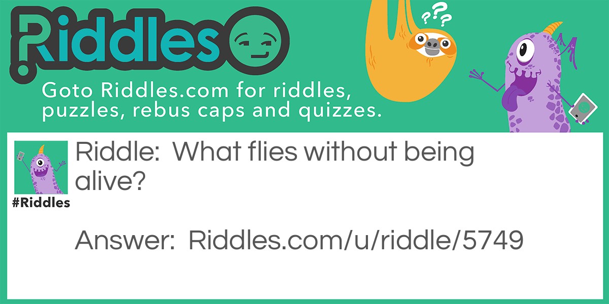What flies without being alive?
