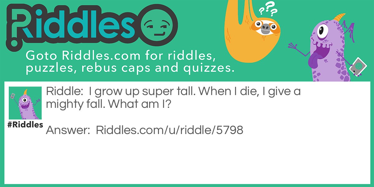 Riddle: I grow up super tall. When I die, I give a mighty fall. What am I? Answer: A tree.