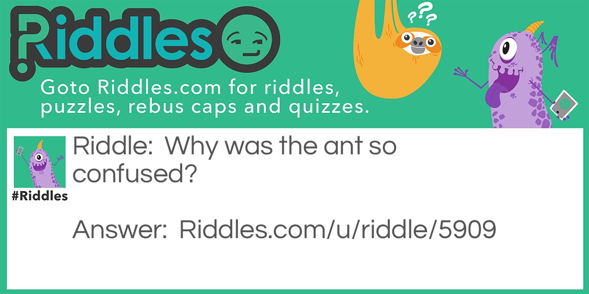 Ants HA HA HA Riddle Meme.