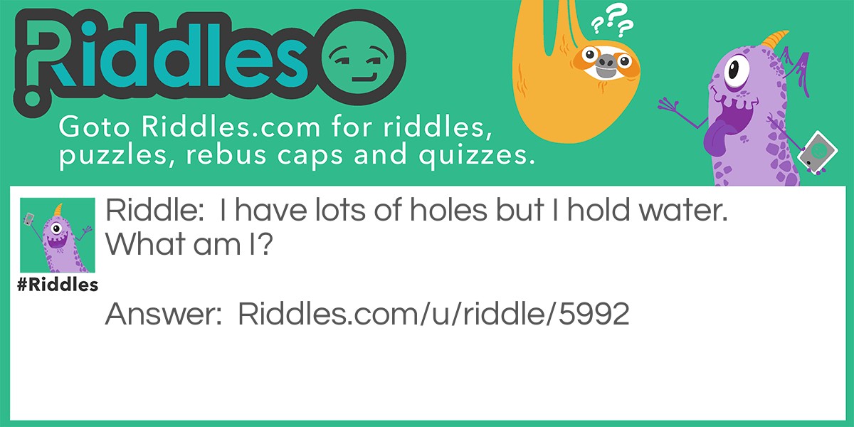 I have lots of holes but I hold water. What am I?