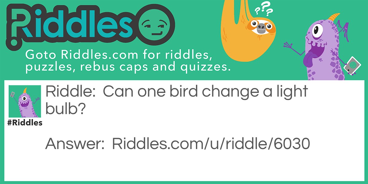 The Bird and the Light Bulb  Riddle Meme.