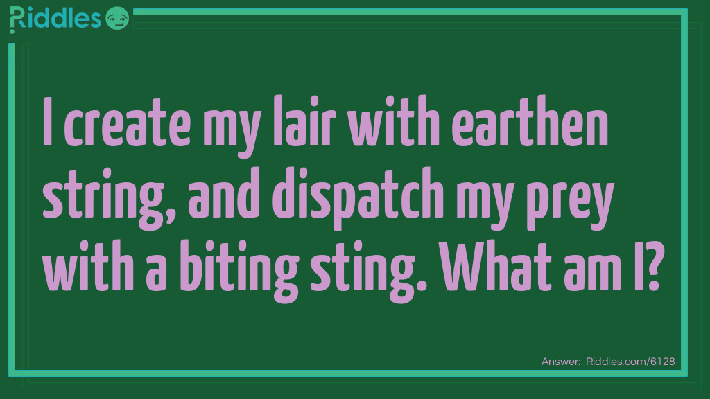 I create my lair with earthen string, and dispatch my prey with a biting sting. What am I?