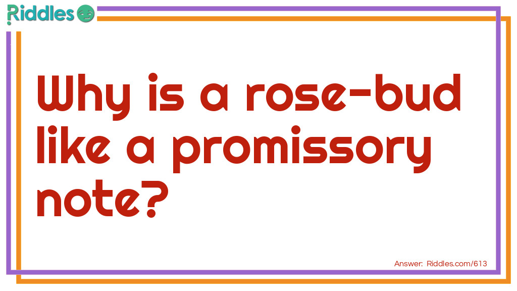 Riddle: Why is a rose-bud like a promissory note? Answer: It matures by falling dew.
