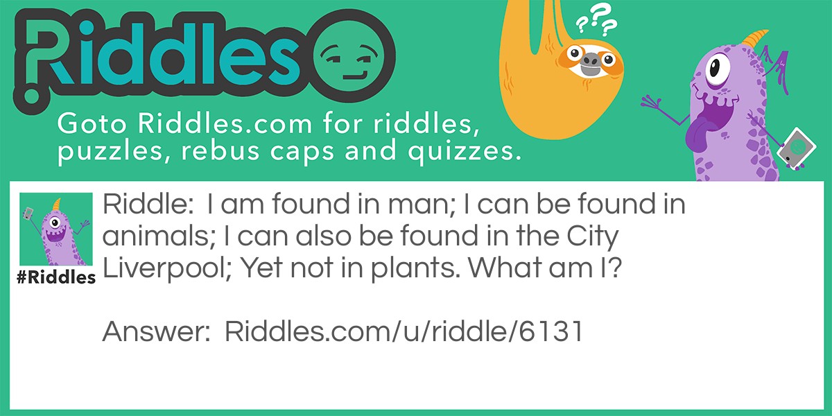 Riddle: I am found in man; I can be found in animals; I can also be found in the City Liverpool; Yet not in plants. What am I? Answer: Liver.