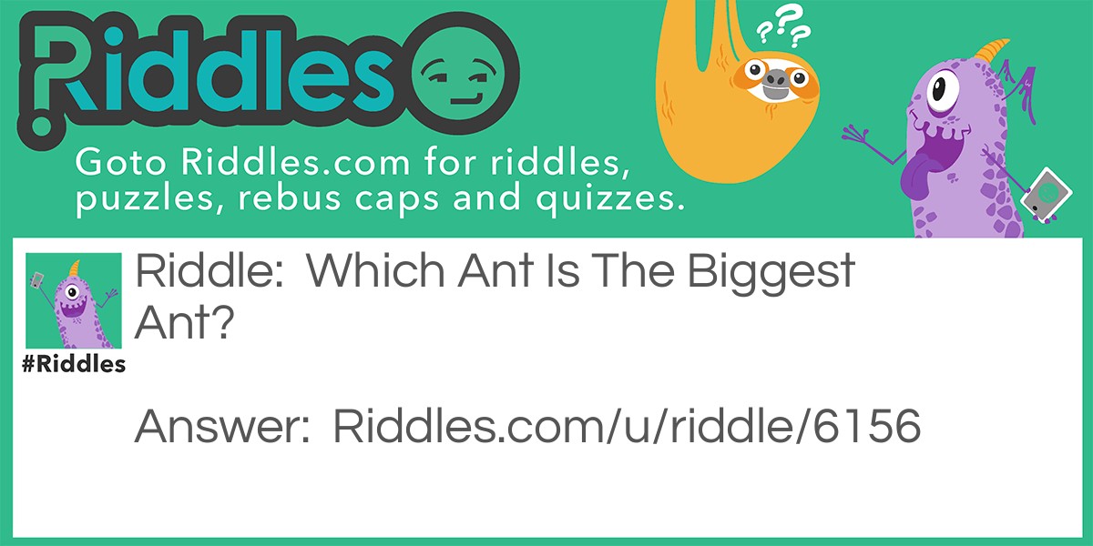 Biggest Ant Riddle Meme.