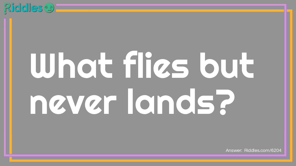 What flies but never lands? Riddle Meme.