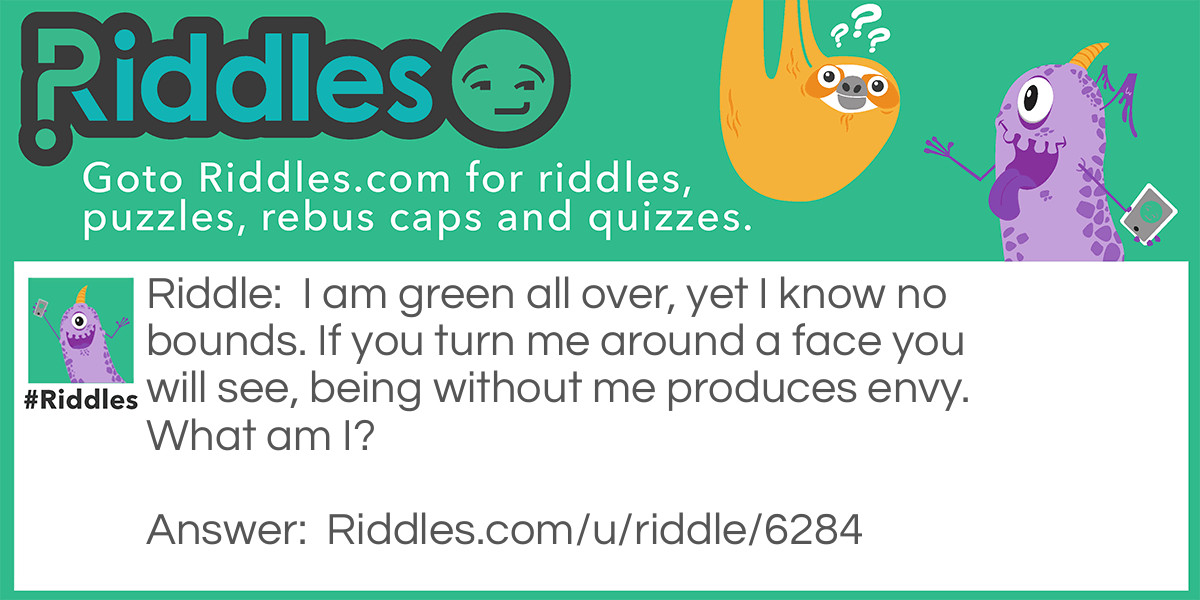 I am green all over, yet I know no bounds. If you turn me around a face you will see, being without me produces envy. What am I?