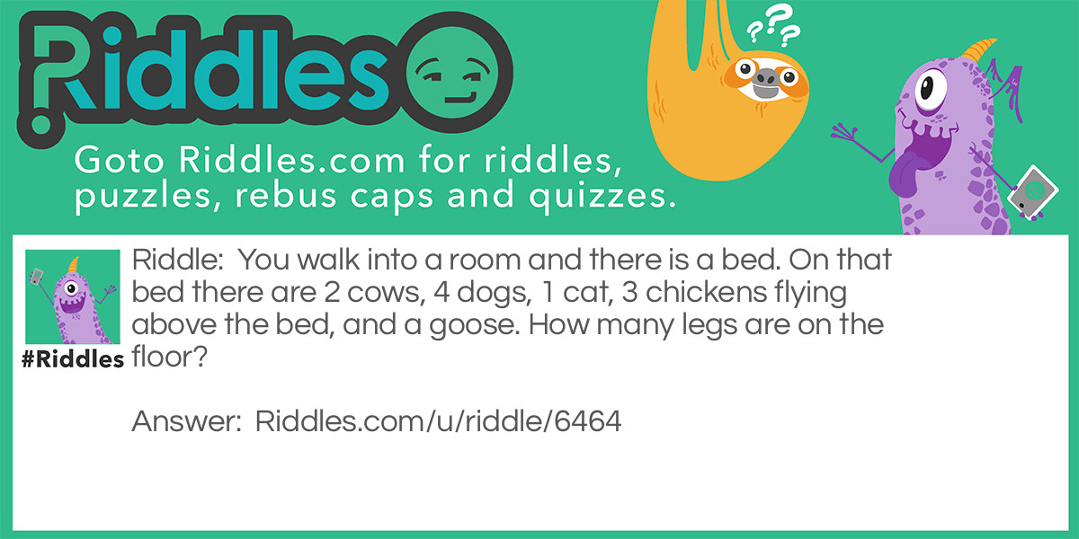 How many feet on the floor? Riddle Meme.