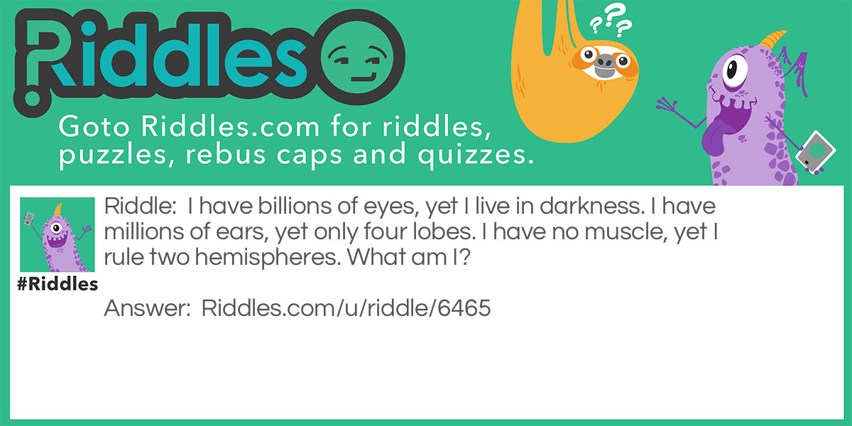 I have billions of eyes, yet I live in darkness. I have millions of ears, yet only four lobes. I have no muscle, yet I rule two hemispheres. What am I?