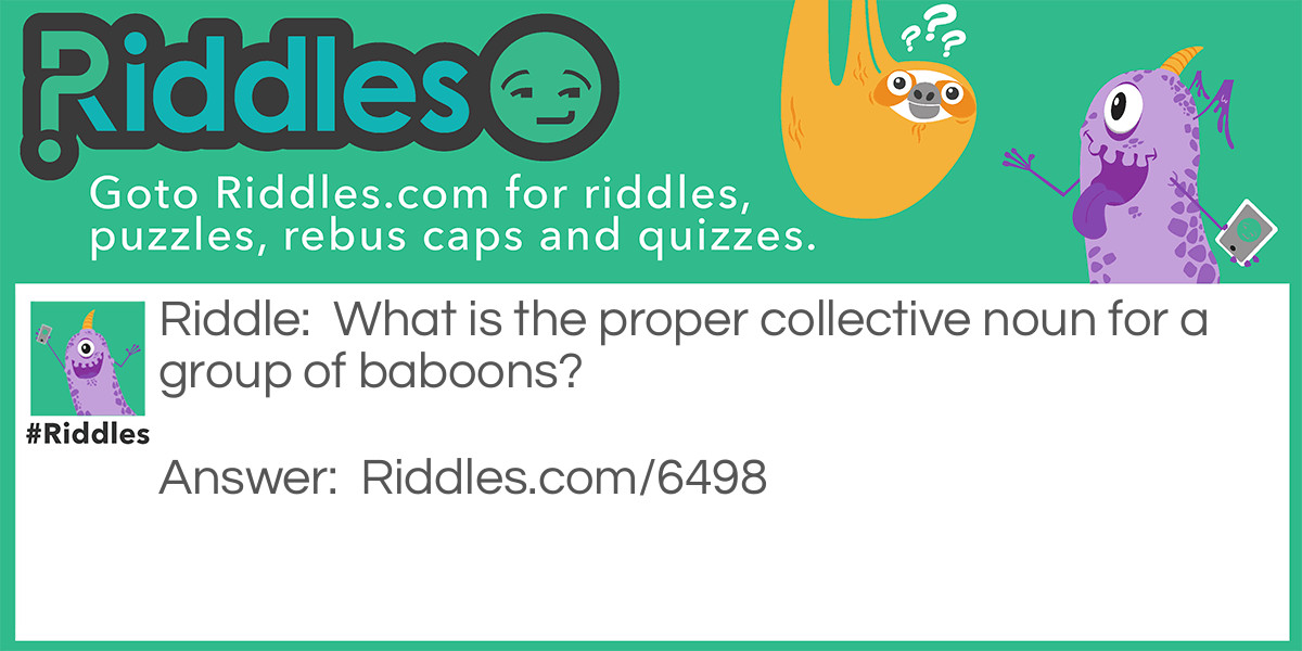 Riddle: What is the proper collective noun for a group of baboons? Answer: A Congress!