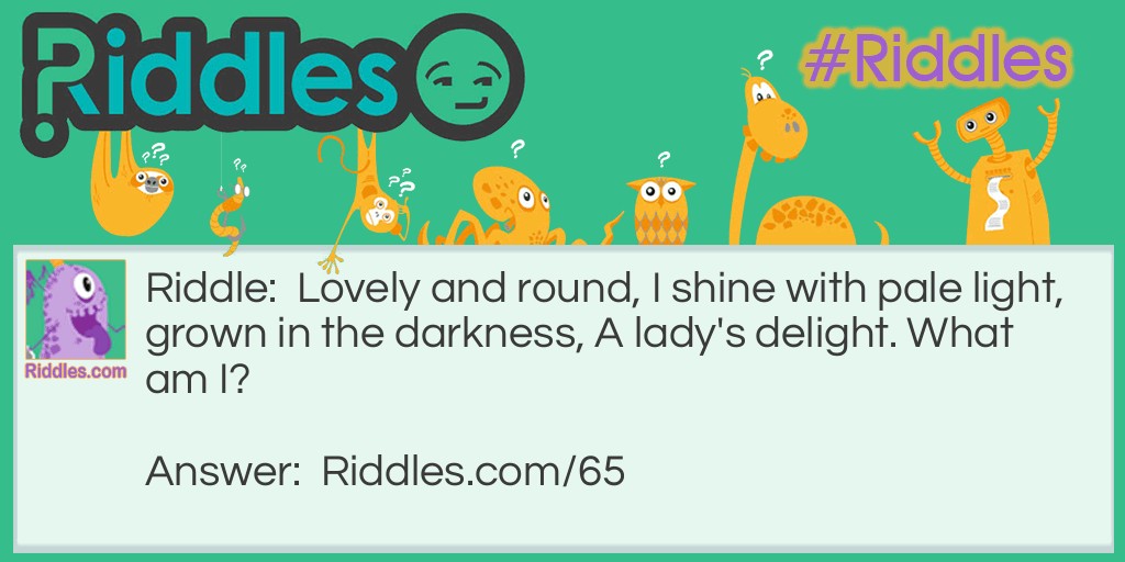 Click to see riddle A Lady's Delight Riddle answer.