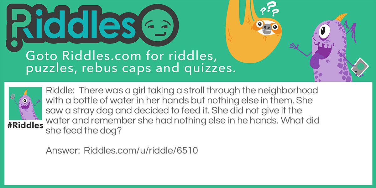 There was a girl taking a stroll through the neighborhood with a bottle of water in her hands but nothing else in them. She saw a stray dog and decided to feed it. She did not give it the water and remember she had nothing else in he hands. What did she feed the dog?