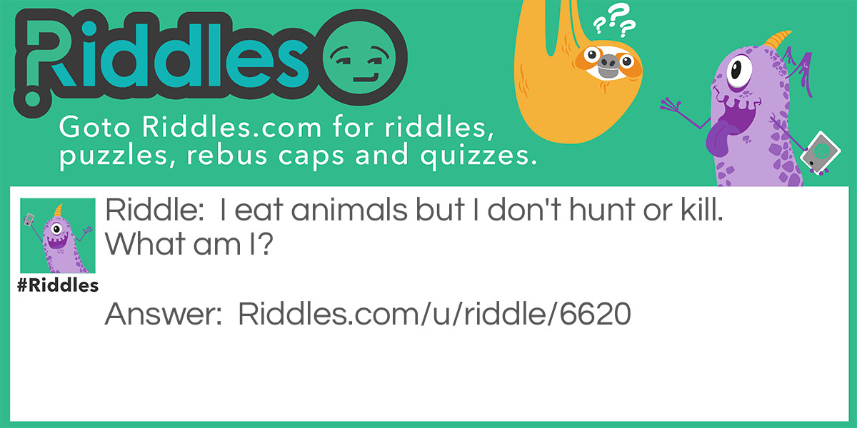 I eat animals but I don't hunt or kill. What am I?