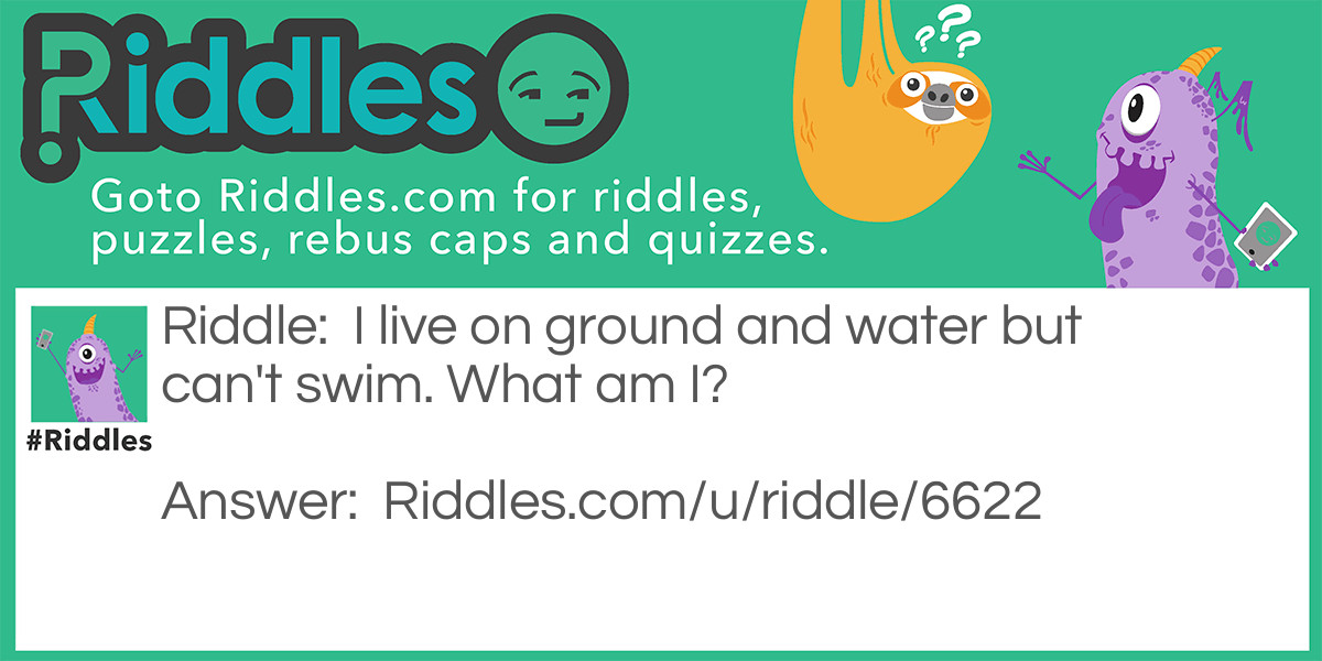 I live on ground and water but can't swim. What am I?