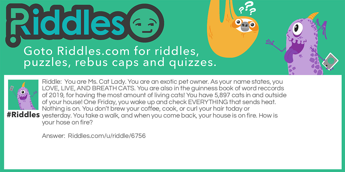 You are Ms. Cat Lady. You are an exotic pet owner. As your name states, you LOVE, LIVE, AND BREATH CATS. You are also in the guinness book of word reccords of 2019, for having the most amount of living cats! You have 5,897 cats in and outside of your house! One Friday, you wake up and check EVERYTHING that sends heat. Nothing is on. You don't brew your coffee, cook, or curl your hair today or yesterday. You take a walk, and when you come back, your house is on fire. How is your hose on fire?