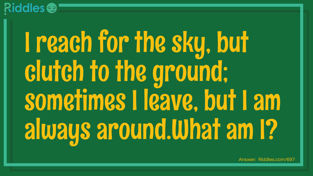 I reach for the sky, but clutch to the ground; sometimes I leave, but I am always around. What am I?