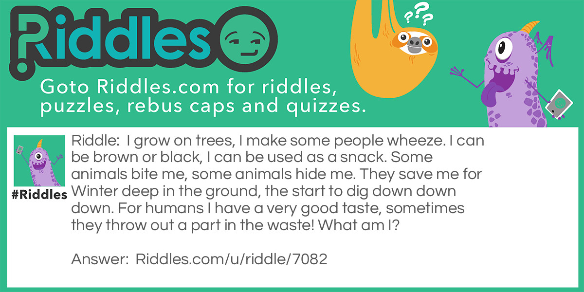Riddle: I grow on trees, I make some people wheeze. I can be brown or black, I can be used as a snack. Some animals bite me, some animals hide me. They save me for Winter deep in the ground, the start to dig down down down. For humans I have a very good taste, sometimes they throw out a part in the waste! What am I? Answer: A nut!