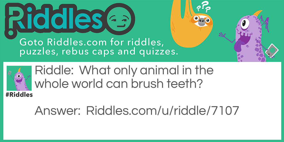 What only animal in the whole world can brush teeth?