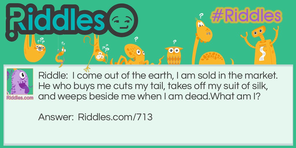 I come out of the earth, I am sold in the market. He who buys me cuts my tail, takes off my suit of silk, and weeps beside me when I am dead.
What am I?