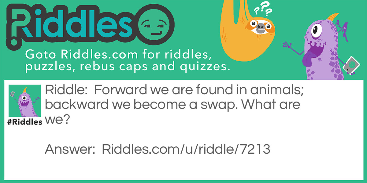 Forward we are found in animals; backward we become a swap. What are we?