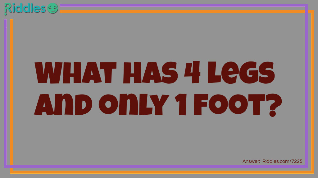 What has 4 legs and only 1 foot?