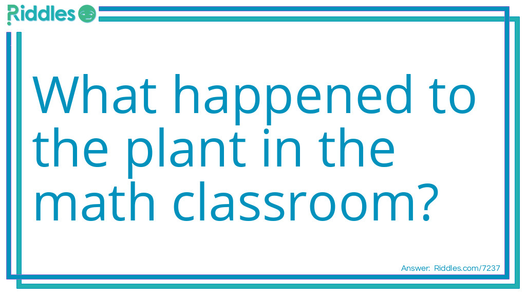Riddle: What happened to the plant in the math classroom? Answer: It grew square roots, of course.