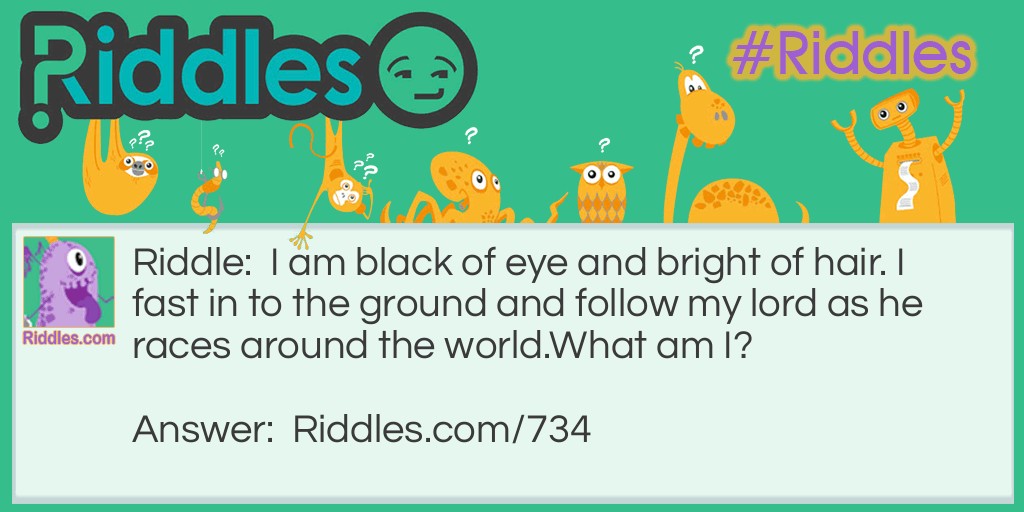 Riddle: I am black of eye and bright of hair. I fast in to the ground and follow my lord as he races around the world.
What am I? Answer: I'm a Sunflower.