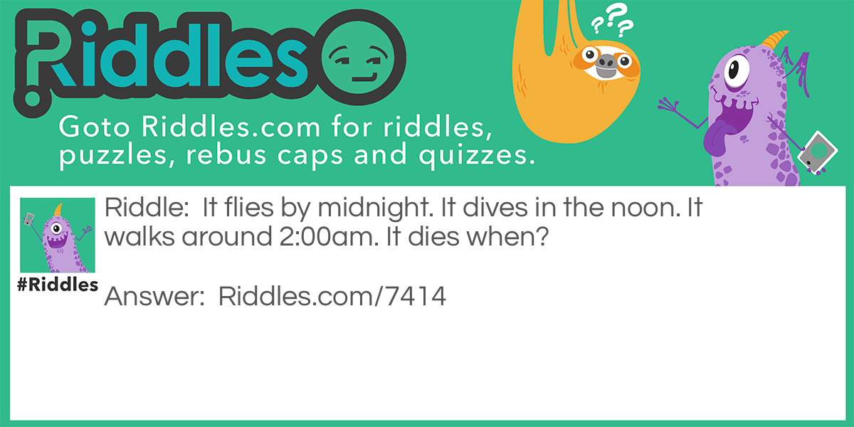 It flies by midnight. It dives in the noon. It walks around 2:00am. It dies when?