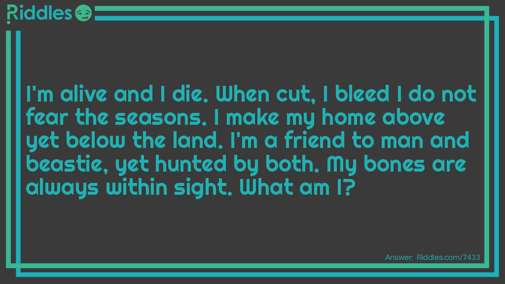 Riddle: My head and the point are made from the same. I am held by what's taken apart from the grain. I am atop of a great ocean beast. My swing will let fire and lead release. What am I?  Answer: A Hammer..