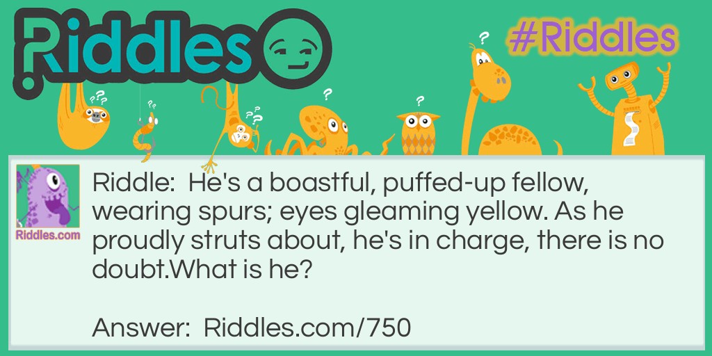 Riddle: He's a boastful, puffed-up fellow, wearing spurs; eyes gleaming yellow. As he proudly struts about, he's in charge, there is no doubt.
What is he? Answer: He is a Rooster.