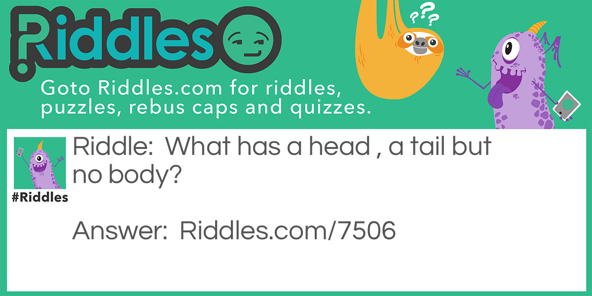 Animal or object? Riddle Meme.