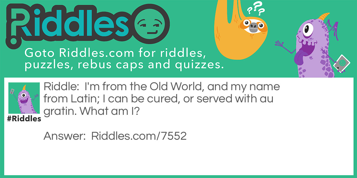 I'm from the Old World, and my name from Latin; I can be cured, or served with au gratin. What am I?