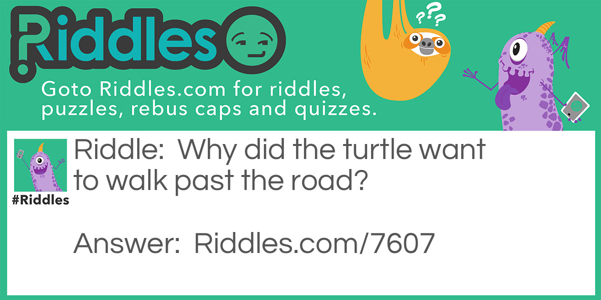 Riddle: Why did the turtle want to walk past the road? Answer: Because he wanted to go to shell station.