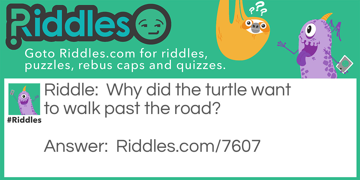 Turtle Riddle Meme.