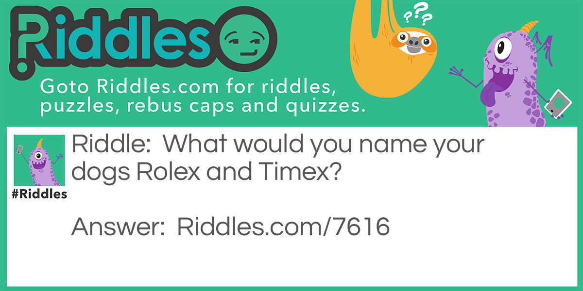 What would you name your dogs Rolex and Timex?