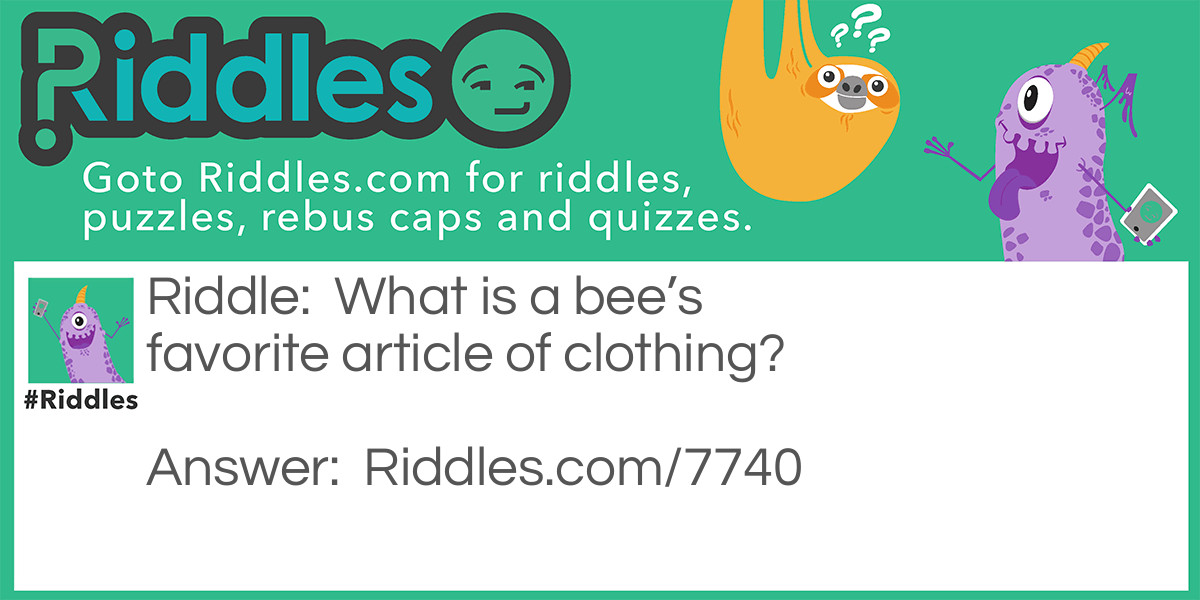 What is a bee's favorite article of clothing?