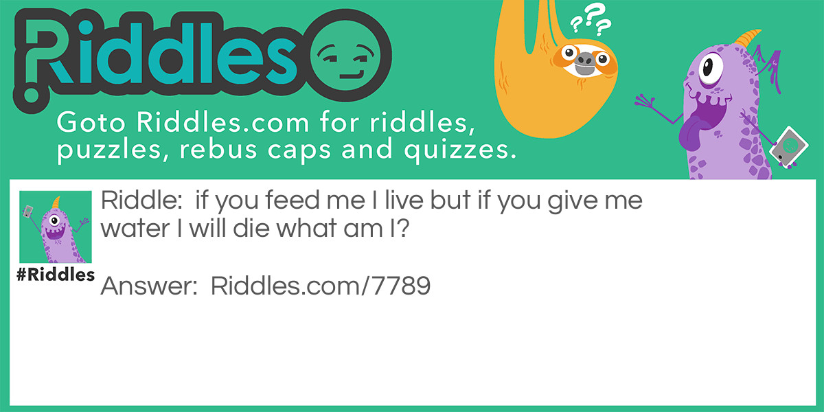 >if you feed me I live but if you give me water I will die Riddle Meme.