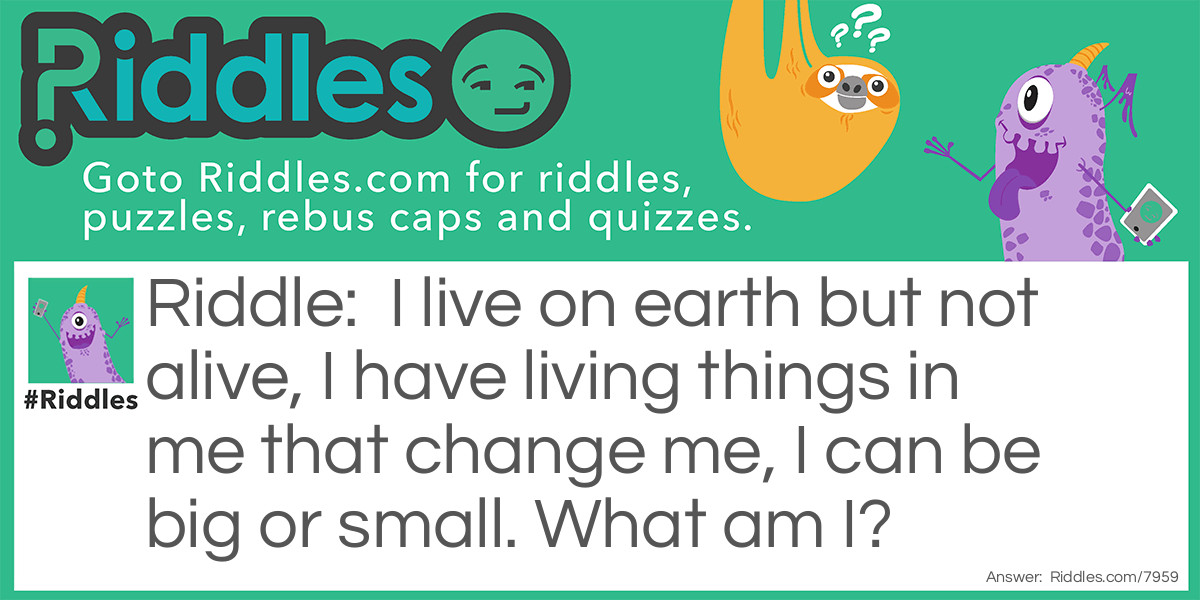 I live on earth but not alive etc. what am I? Riddle Meme.