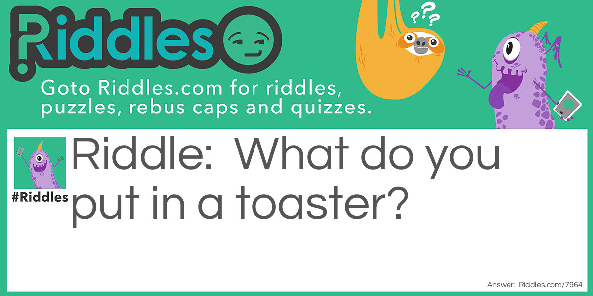 What do you put in a toaster?