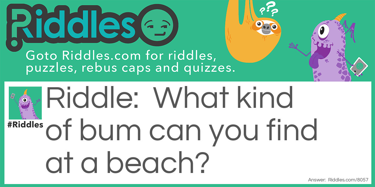 What kind of bum can you find at a beach?