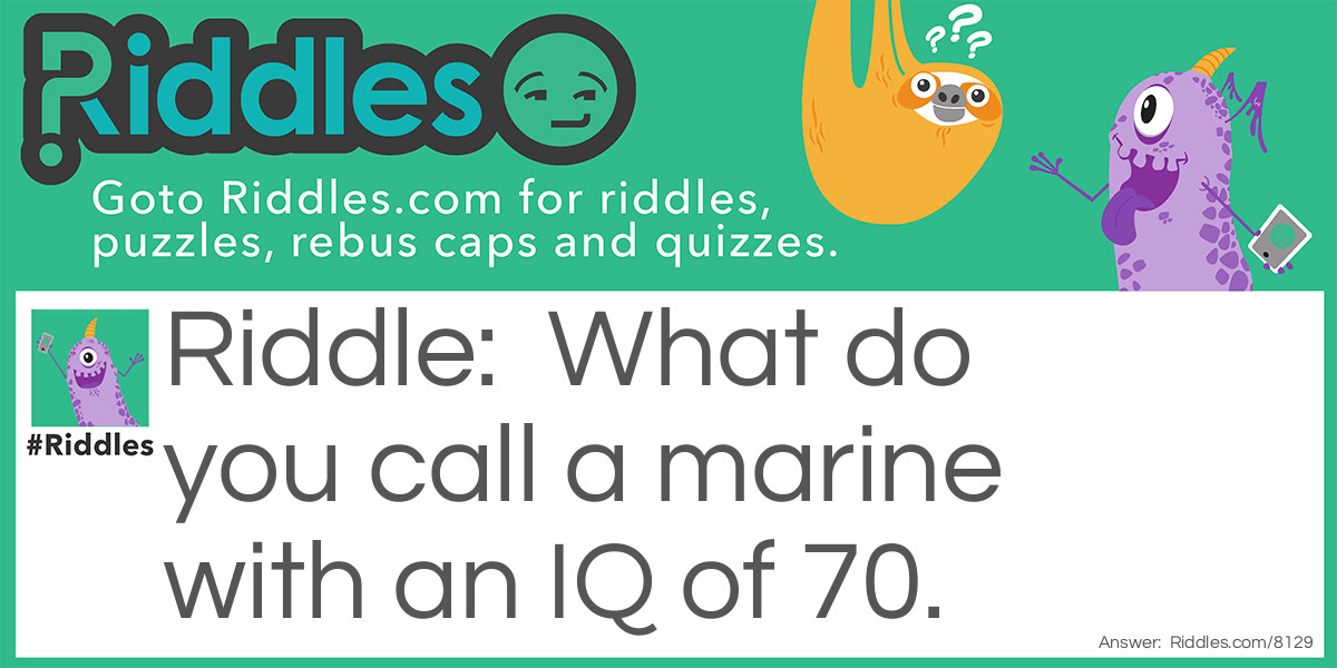 What do you call a marine with an IQ of 70.