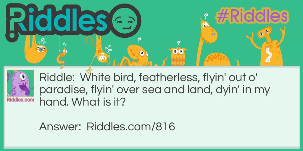 White bird, featherless, flyin' out o' paradise, flyin' over sea and land, dyin' in my hand. What is it?