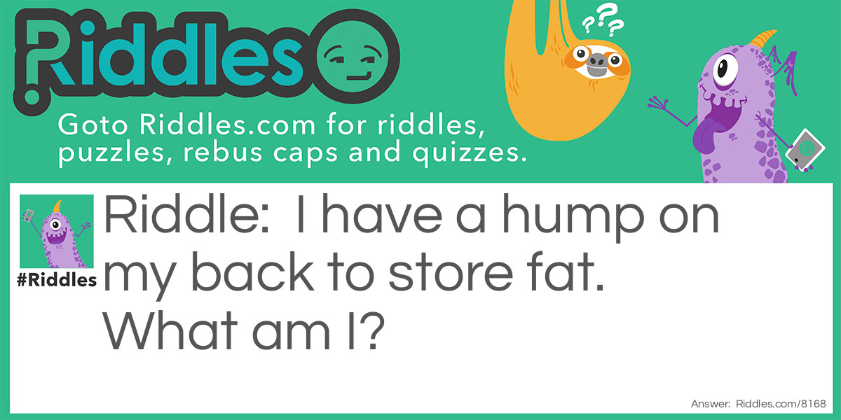 Riddle: I have a hump on my back to store fat. What am I? Answer: A camel.