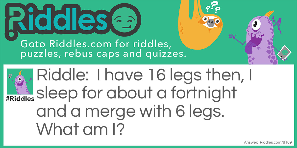 Riddle: I have 16 legs then, I sleep for about a fortnight and a merge with 6 legs. What am I? Answer: A Butterfly
