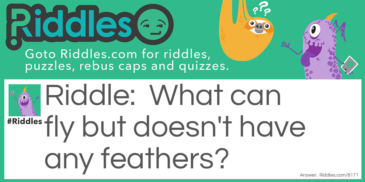 Wildlife Riddle Riddle Meme.