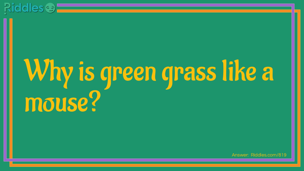 Click to see riddle Grass like a mouse answer.