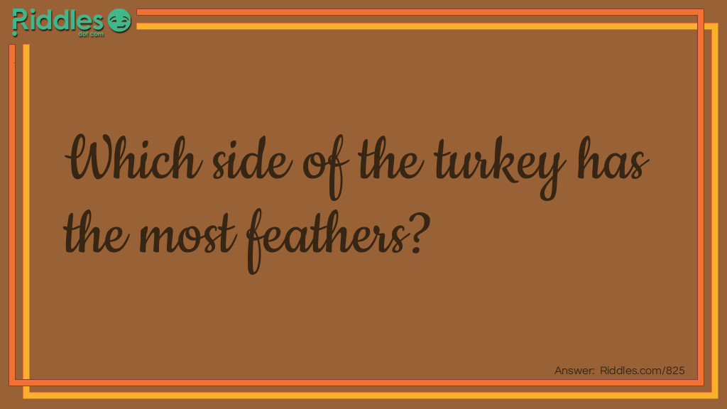 Riddle: Which side of the turkey has the most feathers? Answer: The outside.