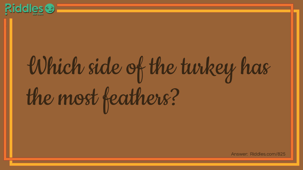 Click to see riddle Most Feathers? answer.